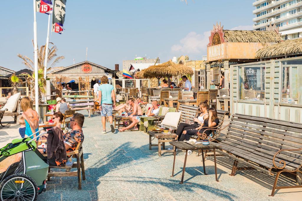 Cute Beach House Zandvoort Eksteriør bilde